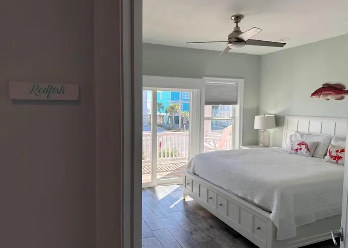 Graceful Palms * Gulf Shores